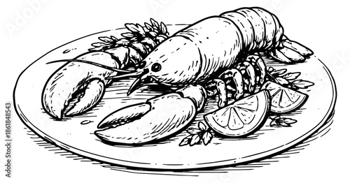 Hand drawn line art illustration of a cooked lobster on a plate depicting a gourmet meal for seafood restaurants