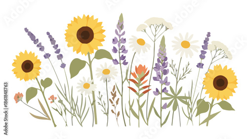 A vibrant illustration of sunflowers and wildflowers in a lush meadow, viewed from a frontal perspective