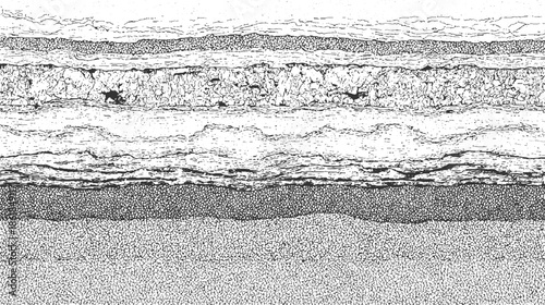 Black and white of geological strata layers with varied textures geology rock soil