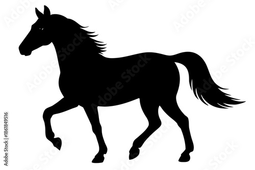 Morgan horse silhouette, horse black vector, Silhouette of a horse walking gracefully Vector, 