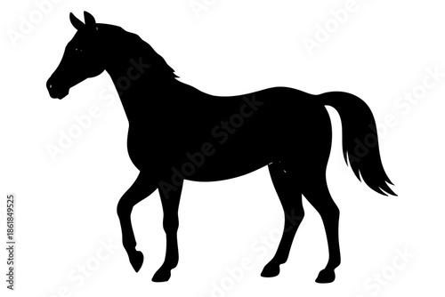 Morgan horse silhouette, horse black vector, Silhouette of a horse walking gracefully Vector, 