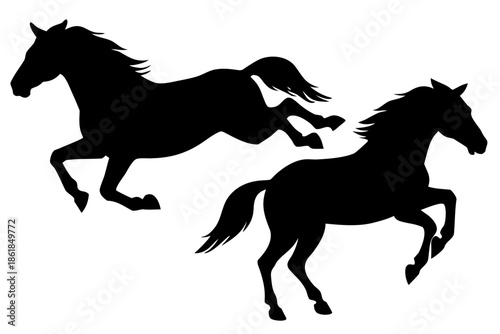 horse silhouette vector illustration,  black horse silhouettes rearing up  Vector