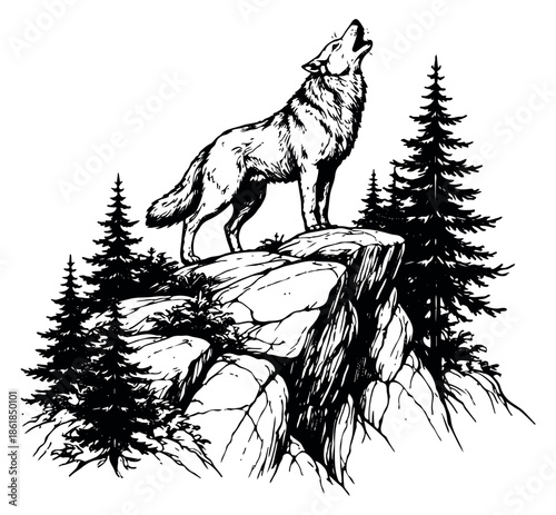 Hand drawn line art illustration of a wolf depicting howling on a rocky cliff surrounded by pine trees for nature and wilderness concepts