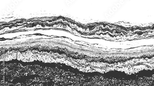 Abstract monochrome textured layers with organic wavy patterns and rough edges black white