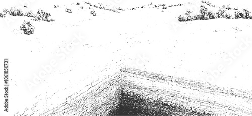 Black and white textured landscape with layered rock formation and scattered vegetation