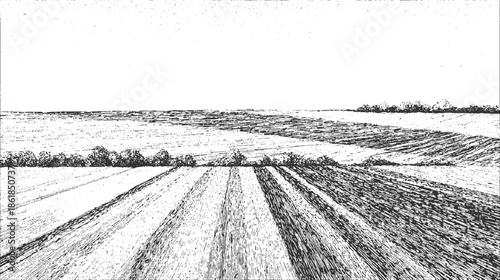 Black and white of cultivated fields with trees and distant horizon agriculture farm rural landscape