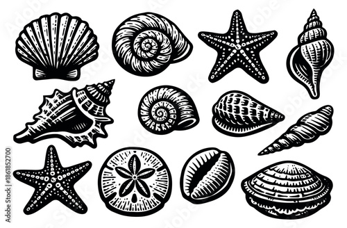 Vintage hand drawn line art marine life set featuring various seashells, starfishes, and a sand dollar for summer and beach designs