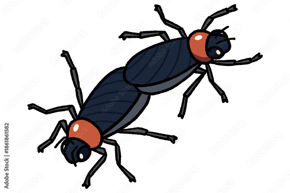 Fototapeta premium 러브버그