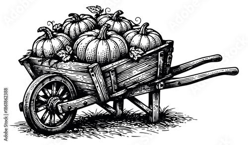 Hand drawn line art illustration of a wheelbarrow filled with pumpkins depicting an autumn harvest for seasonal designs