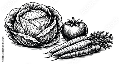 Hand drawn line art vegetable set featuring cabbage, tomato, and carrots for food concepts