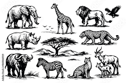 Hand drawn line art African safari animals set featuring majestic wildlife for nature exploration