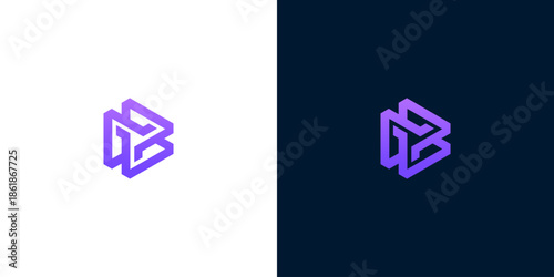Modern abstract geometric logo design featuring interconnected lines forming a dynamic and versatile brand mark, ideal for technology, business, or creative ventures