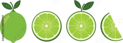 Fresh lime fruit and slices on a white background