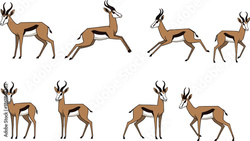 African springbok antelope character collection featuring wild gazelle in various poses including running jumping standing and walking for safari nature vector design.