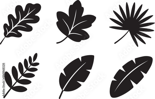 Set of leaf silhouettes, black and white vector illustration of various leaves, isolated collection for nature, eco, and botanical design concepts
