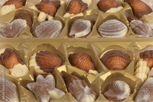 Open box of seashell shaped chocolate pralines in gold plastic tray