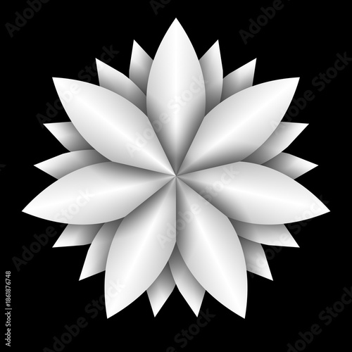 Simple white flower isolated on black background.