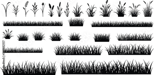 Meadow grass borders and lawn silhouettes set, field plants and herbs collection, black nature vector illustration design elements