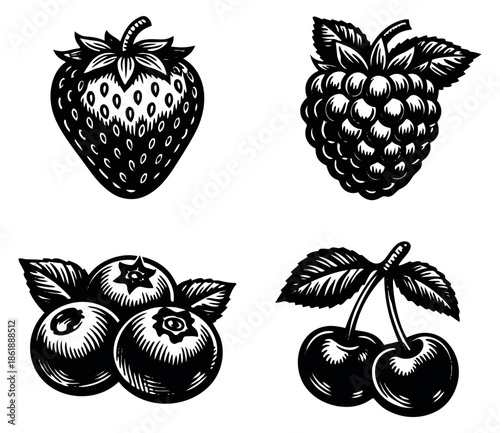 Hand drawn line art fruit set featuring strawberries, raspberries, blueberries, and cherries for food design