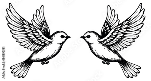 Hand drawn line art illustration of a pair of birds depicting flight with spread wings and facing each other for love and peace