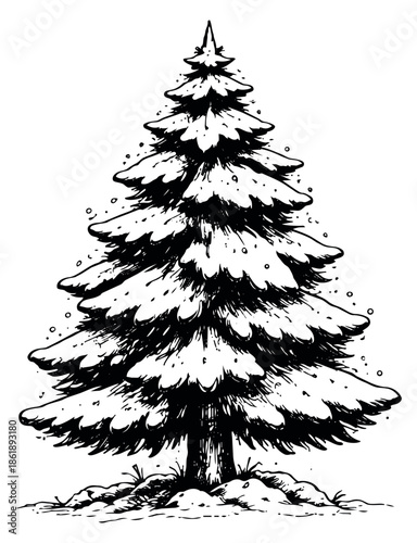 Hand drawn line art illustration of a pine tree depicting a winter scene for holiday design