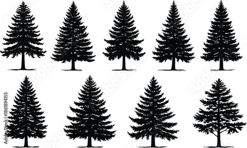 Collection of black pine tree silhouettes, evergreen conifer forest elements, spruce and fir timberland nature icons, isolated on white background set