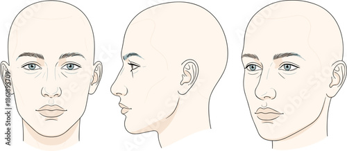 Bald male head reference with front, profile, and 3/4 views for realistic drawing practice, facial anatomy and character art design