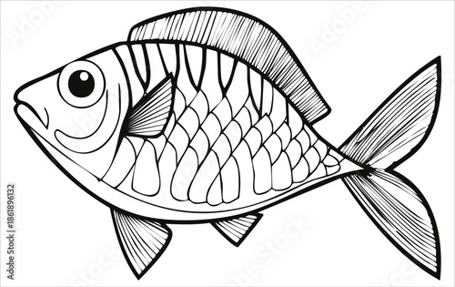 Fish illustration, fish artwork silhouette vector illustration with a white background.