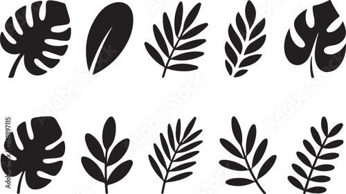 Botanical Leaf Silhouette Icons