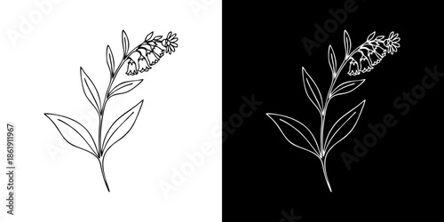 Minimalist botanical line art illustration of a graceful flowering plant, ideal for natural designs, organic branding, and decorative graphic elements