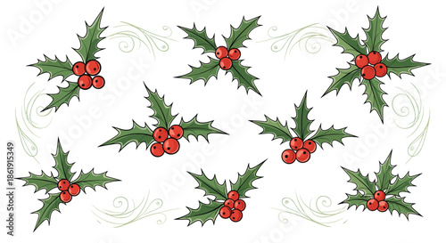 A festive collection of hand-drawn green holly sprigs with red berries arranged as decorative elements for Christmas designs on a white background.