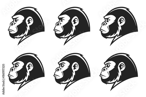 Illustrations of primate faces isolated on white background, Vector