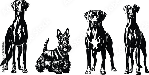 Set of four diverse dog breed silhouettes including Terrier and Great Dane, black and white vector icons for pet services, and canine animal lover designs