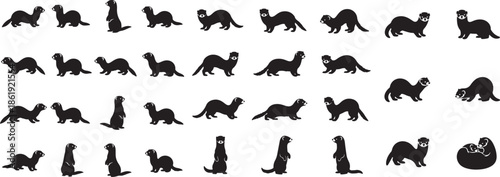 : Ferret icon collection, pet ferret silhouettes in different angles and motions, simple flat black vector icons.