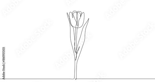 One tulip on a long stem with leaves. The flower is fully bloomed. Drawing in one line art style with editable black stroke on a white background. Vector illustration.