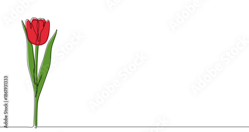 One tulip with a red flower and green leaves on a long stem. The flower is fully bloomed. Drawing in one line art style with editable color stroke on a white background. Vector illustration.