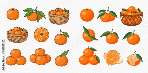 Set of fresh ripe tangerines with leaves and baskets of mandarins, whole and peeled citrus fruits.