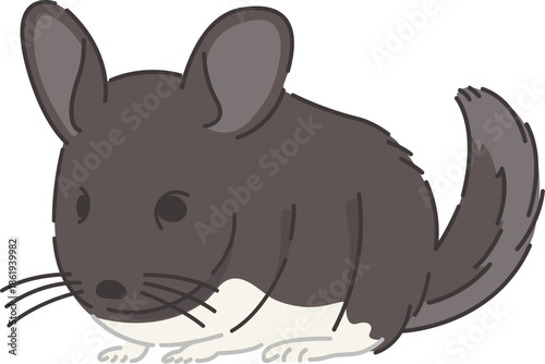 Fluffy Chinchilla Illustration, Cute Round Grey and White Exotic Pet Rodent Character, Soft Cartoon Vector Artwork for Children’s Prints, Stickers, Logos, Pet Shop Branding and Cozy Animal-Themed Desi