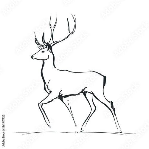 Graceful wild stag walking in a natural setting captured in a dynamic sketch style perfect for wildlife themed projects and outdoors adventure branding