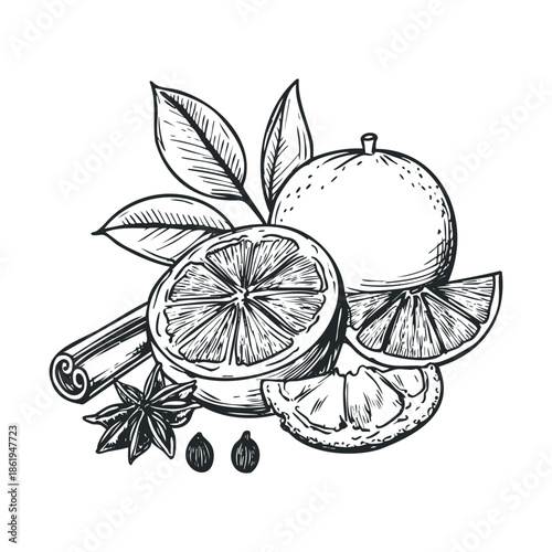 Black and white engraving style drawing of fresh oranges, cinnamon, star anise, and spices, ideal for culinary publications, beverage labels, or holiday recipe applications.