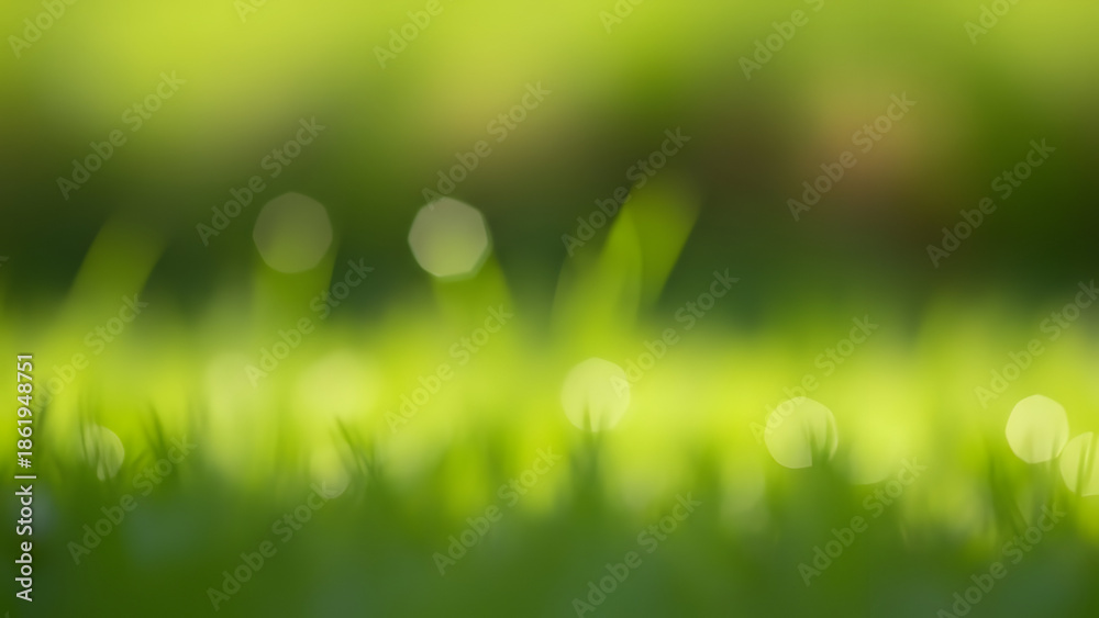 Obraz premium Blurry green grass with bokeh effect in natural sunlight