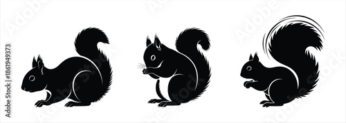 Black Squirrel Silhouettes in Various Poses on White Background