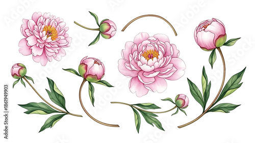 Modern vector watercolor-style floral wallpaper with peonies, leaves, and curved stems arranged harmoniously, elegant botanical nature background for interior and surface design use