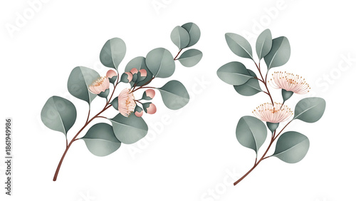 Modern vector watercolor-style botanical wallpaper with eucalyptus branches and delicate blossoms, calming nature-inspired background suitable for interiors, packaging, and lifestyle branding