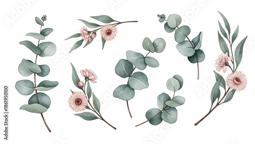 Modern vector watercolor-style botanical wallpaper with eucalyptus branches and delicate blossoms, calming nature-inspired background suitable for interiors, packaging, and lifestyle branding