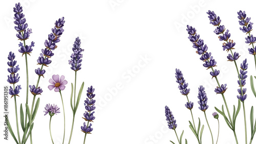 Modern vector watercolor-style floral and nature wallpaper featuring lavender sprigs and wildflowers, calming botanical background ideal for interiors, textiles, and wellness branding