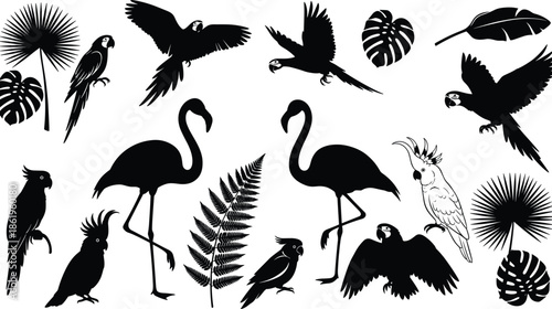 Tropical birds and leaves collection, black silhouettes of flamingo, parrot, palm, monstera, exotic jungle nature set, cad drawing flat vector illustration.