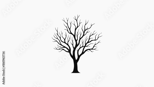 Bare tree silhouette on white background for design and decoration