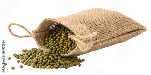 Organic Green Mung Beans Spilling from Rustic Burlap Sack Isolated on White