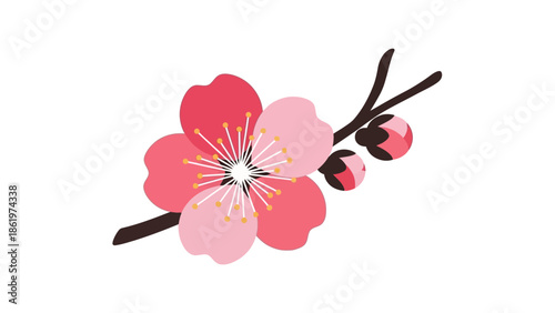 Vibrant Pink Cherry Blossom Illustration with Buds on a Branch for Spring Design Element